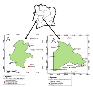 Contribution of the ivoirian civil society