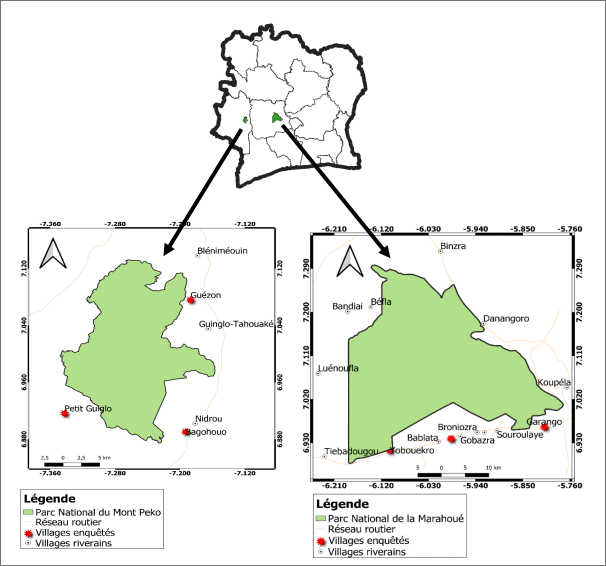 Contribution of the ivoirian civil society